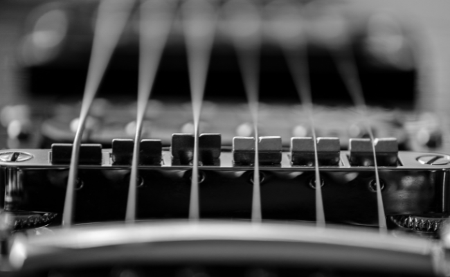 NG BASS EADG "Natural Gut" Guitar String - Length: 180cm or 6ft