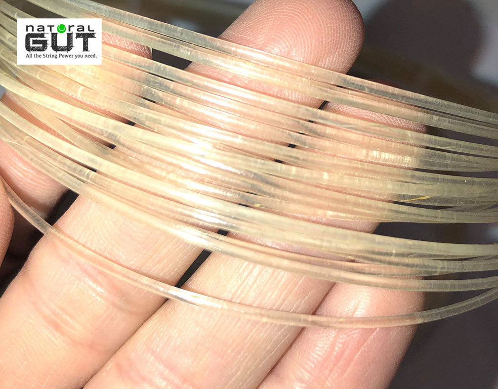 NG 16G(130) PROV5(+) "Molecular Coated" Natural Gut - Length: (20') x 2 Pcs